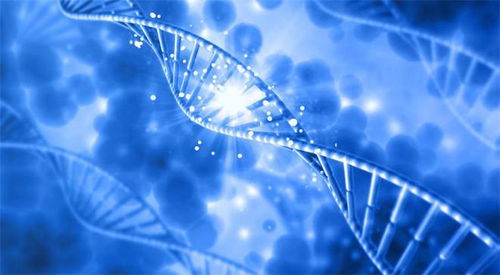 中國首例正序生物堿基編輯藥物成功治愈外籍患者，開創(chuàng)基因治療新紀元