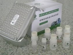 人NT-proBNP及N端前腦鈉素ELISA試劑盒在上海生物科技領域的發展與應用