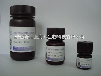 D-脯氨酸/D-吡咯烷-2-羧酸價格解析與卡邁舒(上海)生物科技產品概覽